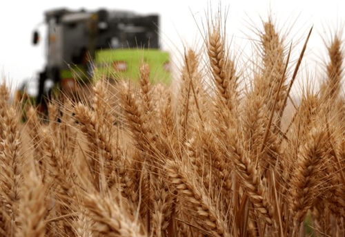 我國三大 失敗 酒,因太便宜被當成差酒,實則是100 珍品純糧酒