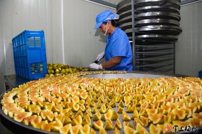 集中&ldquo;發(fā)糖&rdquo;!從鮮果到制品,記者帶你實(shí)地解密無花果干制作過程~