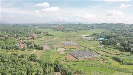 【深化"走轉(zhuǎn)改"--記者一線見聞】這里種菜有"講究"--永州市冷水灘區(qū)永益農(nóng)業(yè)開發(fā)蔬菜基地見聞