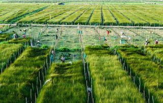 眾裕生態農業 健康食品的新希望