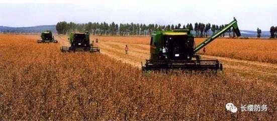 俄當(dāng)局向中國提供100萬公頃遠(yuǎn)東地區(qū)土地用于農(nóng)業(yè)開發(fā)