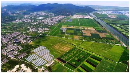 總面積8.5萬畝!海寧農業經濟開發區成立!
