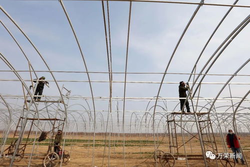 縣農副產品加工發展服務中心多舉并措抓好農業產業提檔升級重點項目