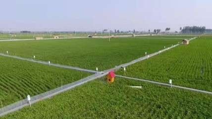 農村致富新思路,挖掘農村產業潛力,打造特色農業產業鏈