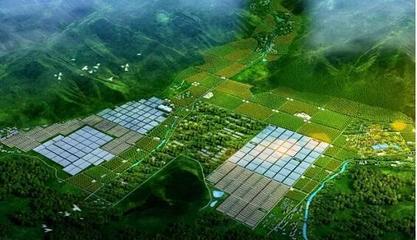 現(xiàn)代農(nóng)業(yè)產(chǎn)業(yè)園開發(fā)模式及五大運(yùn)營模式!