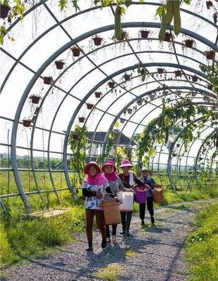 勇當(dāng)鄉(xiāng)村振興“偵察兵”“先鋒隊”——瀏陽市國家級田園綜合體建設(shè)試點紀(jì)實