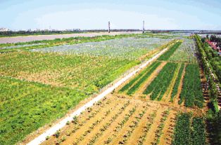 點亮農(nóng)業(yè)智慧之光——現(xiàn)代農(nóng)業(yè)創(chuàng)新開發(fā)與經(jīng)濟(jì)發(fā)展新路徑