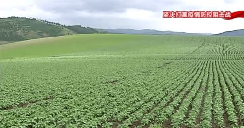 構(gòu)筑特色農(nóng)業(yè)新優(yōu)勢，以產(chǎn)業(yè)發(fā)展促鄉(xiāng)村振興