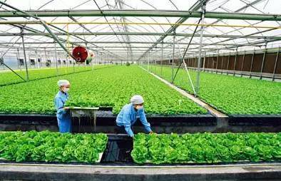 2017下半年這10個農業項目補貼不能再錯過！