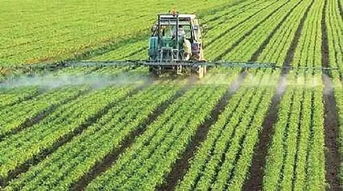 延伸農業產業鏈促農業增效農民增收