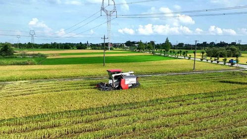 構建343現代農業發展新格局，加快推進鄉村振興高質量發展