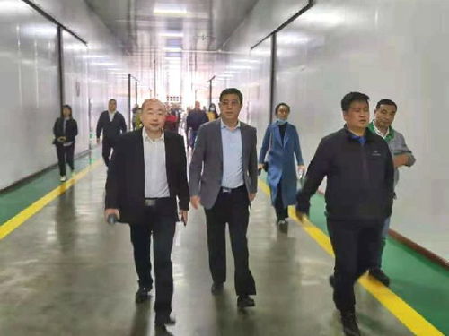 深化南北合作，共拓農業新篇——東莞市河南商會赴黑龍江商務考察紀實