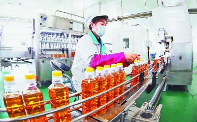 吉林 厚植黑土優勢，賦能農業升級，擘畫現代農業新藍圖