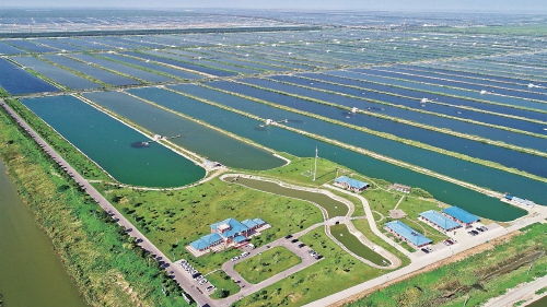 智慧農業浪潮下，農墾如何走在前列，引領農業開發新篇章