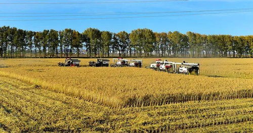 三產融合激發雪城現代農業發展新活力